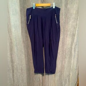 Lily Morgan 1X Polyester Lightweight Navy Full Length Pant